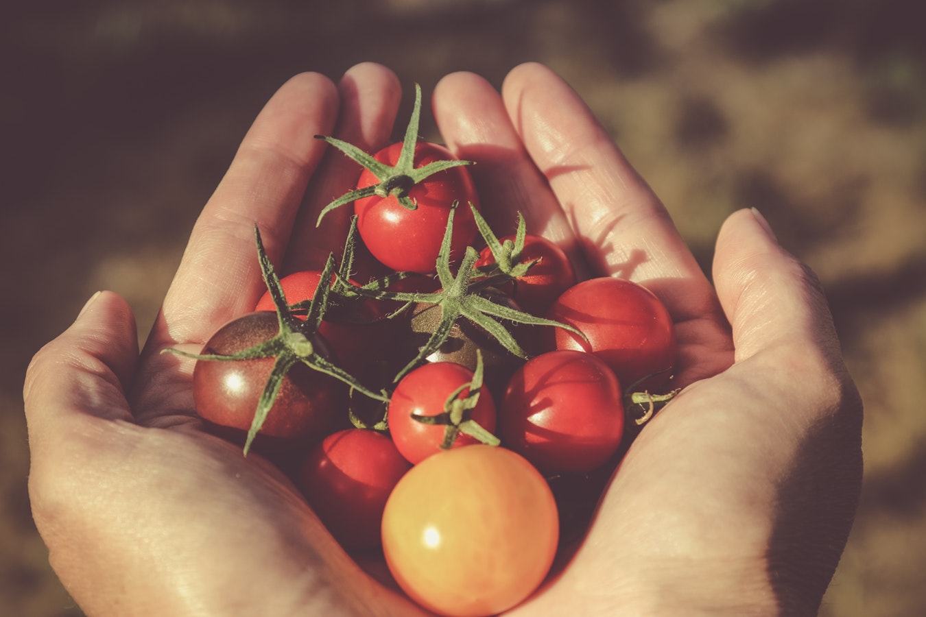 Food Processing Case Study